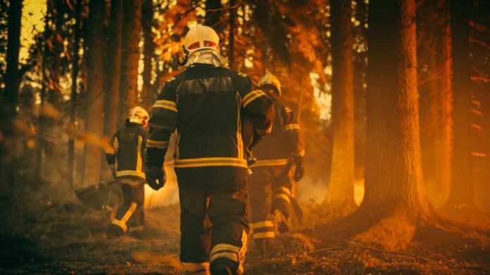 Establishing,Shot:,Team,Of,Firefighters,In,Safety,Uniform,And,Helmets