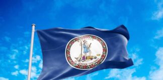 Virginia state flag waving against a blue sky