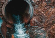 Water flowing from a drainage pipe into a grassy area