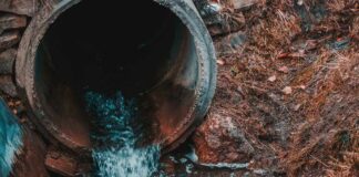 Water flowing from a drainage pipe into a grassy area