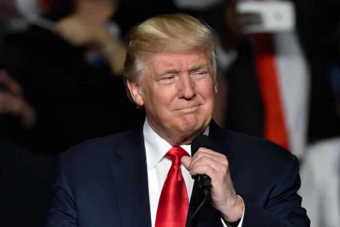 shutterstock_651225961.jpg Donald Trump speaking at a rally with a microphone