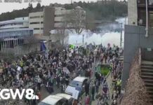 ICE Vindicated: Portland Tear Gas Ruling Stirs Outrage