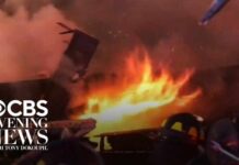 Courage Under Fire: NYPD Officers Save Lives in Queens