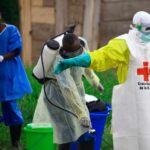 New Ebola outbreak has killed 65 people in a remote Congo province