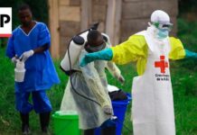 New Ebola outbreak has killed 65 people in a remote Congo province