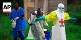 New Ebola outbreak has killed 65 people in a remote Congo province