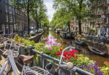 Bicycles and flowers overlooking a canal in Amsterdam