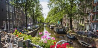 Bicycles and flowers overlooking a canal in Amsterdam