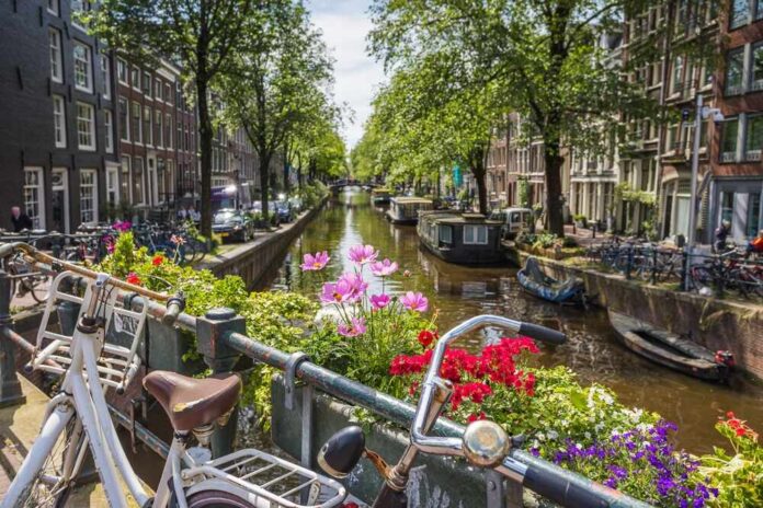 Bicycles and flowers overlooking a canal in Amsterdam