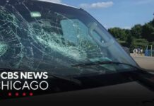 CBS Chicago journalists attacked while on shoot near Adler Planetarium