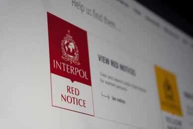 2742481659 Computer screen showing INTERPOL red notice page