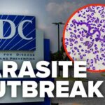 Mystery Parasite Sickens Americans Nationwide Cyclospora parasite outbreak reported in multiple states