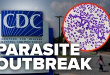 Mystery Parasite Sickens Americans Nationwide Cyclospora parasite outbreak reported in multiple states