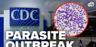 Mystery Parasite Sickens Americans Nationwide Cyclospora parasite outbreak reported in multiple states