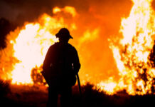 Deadly Spain Wildfire Kills At Least 11 Silhouette of a firefighter standing in front of a large wildfire