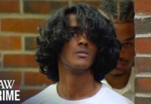 Teen Accused of Killing Family Searched ChatGPT for Murder: DA
