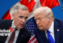 Tariff Delayed After Last-Minute Deal CBC News: The National | Trump pauses 50% tariffs on Canada