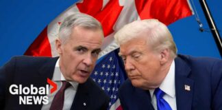 Tariff Delayed After Last-Minute Deal CBC News: The National | Trump pauses 50% tariffs on Canada