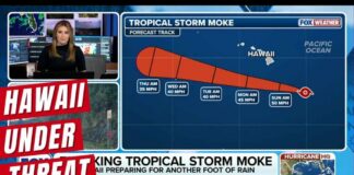 Tropical Storm Moke Targets Hawaii With Heavy Rain, Wind After Lala