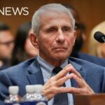Senate Brawl Erupts Over Fauci Gag LIVE | Fauci contempt hearing: Senate panel votes to hold Dr. Anthony Fauci in contempt