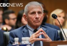 Senate Brawl Erupts Over Fauci Gag LIVE | Fauci contempt hearing: Senate panel votes to hold Dr. Anthony Fauci in contempt