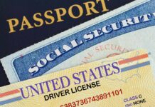 Skid Row Voter Hustle Exposed Stack of U.S. identification documents