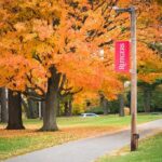 Campus Scandal: Rutgers Dean Caught Red Handed Autumn trees along a campus pathway with red banners on poles
