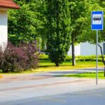 Bus stop sign by a tree-lined street