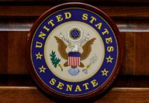 DSA’s Power Play: Erase The Senate United States Senate seal on a wooden wall