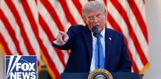 Trump is the BEST SHOWMAN in politics: RNC chairman
