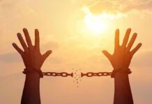 Early Release Bombshell Rattles North Carolina raised hands breaking chains against a sunset sky