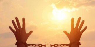 Early Release Bombshell Rattles North Carolina raised hands breaking chains against a sunset sky