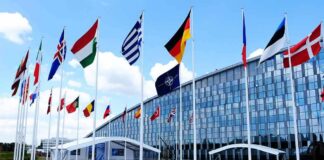 Row of national flags outside a modern glass building
