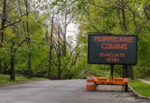 Portable electronic road sign on a quiet tree-lined street