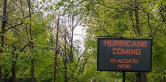 Portable electronic road sign on a quiet tree-lined street