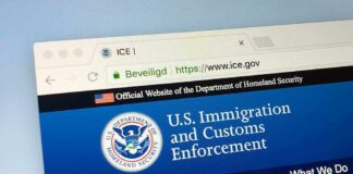 Los Angeles Sweep Stuns: 94% Convicted ice