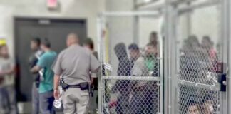 Murderer Vanishes – Fence Cam Stuns Guards People standing inside chain-link holding area with an officer nearby