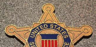 Golden badge of the United States Secret Service displayed on a surface