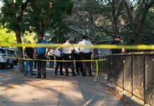Park Chaos After Fatal Goliath Fall Police officers gather behind yellow tape on a tree-lined sidewalk