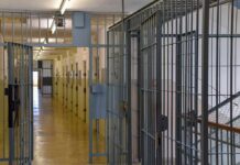Chaos In Death Chamber Prison corridor with barred doors
